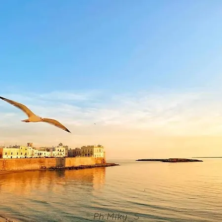 بيت للعطل Casa Stella Marina *